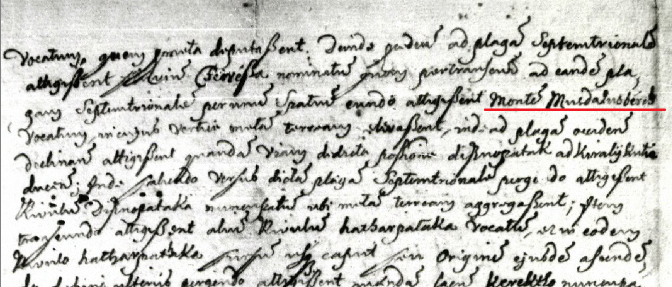 Figura 3: fotocopia documentului din 1414, MOL, DF 209546.